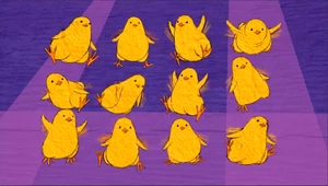 12ChicksSong.jpg