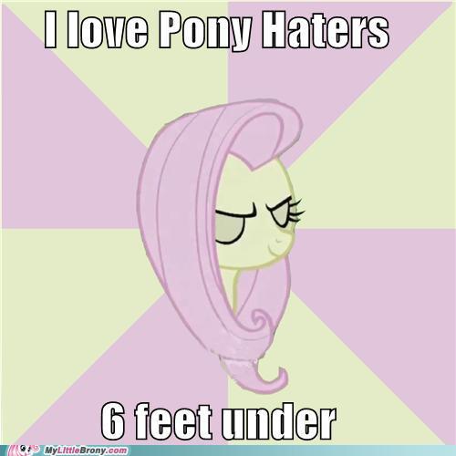 My-little-pony-friendship-is-magic-brony-cruel-fluttershy-pony-haters.jpg