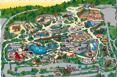 Cin map