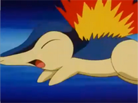 http://images3.wikia.nocookie.net/__cb20111002185958/es.pokemon/images/thumb/8/84/EP240_Cyndaquil_usando_ataque_r%C3%A1pido.png/200px-EP240_Cyndaquil_usando_ataque_r%C3%A1pido.png