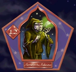 Merwyn le Malicieux - Chocogrenouille HP2