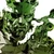MGS3Button.jpg