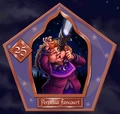Perpetua Fancourt - Chocogrenouille HP2.jpg