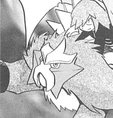 Entei de Silver