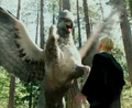 Buckbeak Malfoy.png