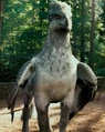 Buckbeak.png
