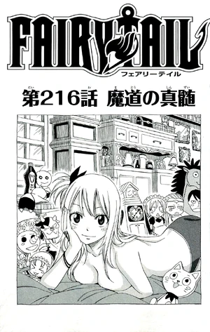 Cover 216