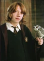 Ron-and-his-owl.jpg