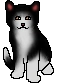 20120414211218%21Tallstar.kit.png