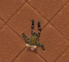 DeadTrooper