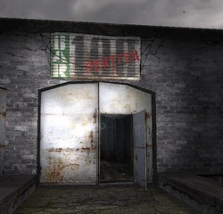 100rads