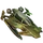Item mantisflyby 01.png
