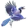 Item bluejay 01