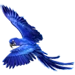 Item hyacinthmacaw 01.png