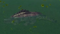 OasisCrocolisk