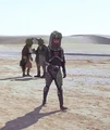 RangoTel-TPMHD.jpg