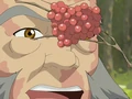 Maka'ole berries.png