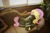 Fluttershy sleeping