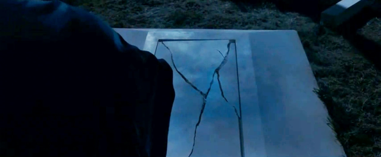 Tom Riddle's wand Harry Potter Wiki