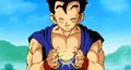TakeFlightVidel Gohan Ki