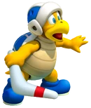 Boomerang Bro. SM3DL