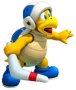 Boomerang Bro. SM3DL