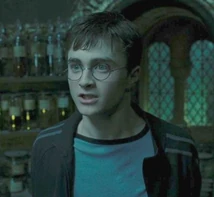 Harry5.6
