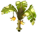 Citronana Tree