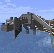 EnderDragon