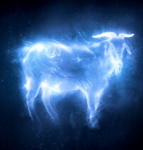 My patronus