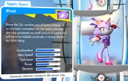 Blaze stats