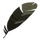 Crow Feather