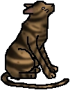 20111209213608!Onestar.apprentice.png