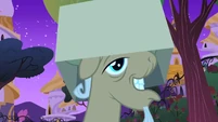 Mr. Greenhooves falls in Fluttershy's cardboard trap S1E26