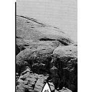 Avalon surface