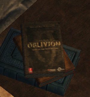 Oblivion Guide