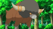 EP714 Bouffalant de Mirto