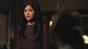 PLL211-01133