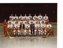 1977-78 Birmingham Bulls