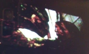 Lizard4