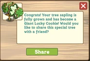 Giant Lucky Cookie Tree Message