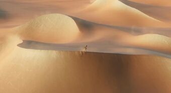 Nate in the desert