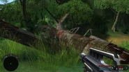 FarCry 2011-01-01 06-50-35-97
