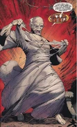 1123943-20091031042038 ra s al ghul white ghost