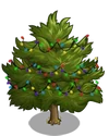 Eastern Red Cedar5-icon