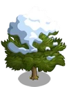 Eastern Red Cedar7-icon