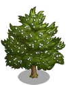 Eastern Red Cedar2-icon