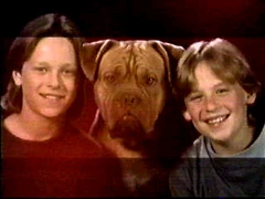 Lucky, foster, sly