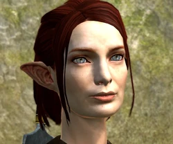 Tallis Closeup