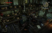 Tw2-screenshot-littleshop-01